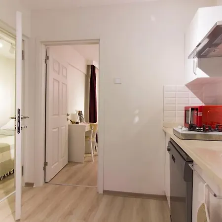 Fully Renovated 2br Flat In Prime Location At Moda Apartment Istanbul